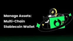 Manage Assets: Multi-Chain Stablecoin Wallet