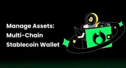 Manage Assets: Multi-Chain Stablecoin Wallet
