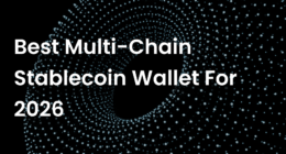 Best Multi-Chain Stablecoin Wallet for 2026