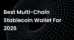Best Multi-Chain Stablecoin Wallet for 2026