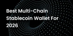 Best Multi-Chain Stablecoin Wallet for 2026