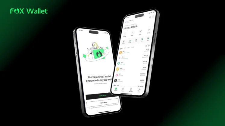 Multi-Chain Stablecoin Wallet with Low Fees