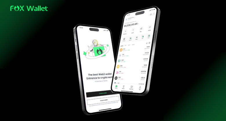 Multi-Chain Stablecoin Wallet with Low Fees