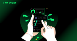 Iron Fish Wallet: A Step-by-Step Guide to Securely Managing Your $IRON in 2026