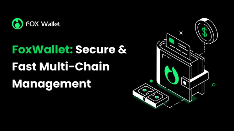 FoxWallet：安全快速的多链管理