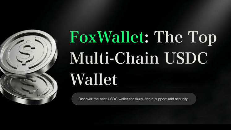 FoxWallet: The Top Multi-Chain USDC Wallet
