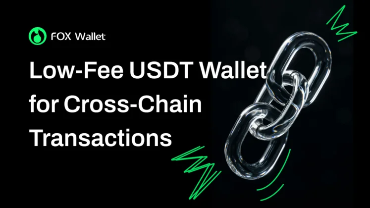 Low-Fee USDT Wallet for Cross-Chain Transactions