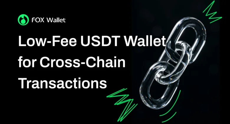 Low-Fee USDT Wallet for Cross-Chain Transactions