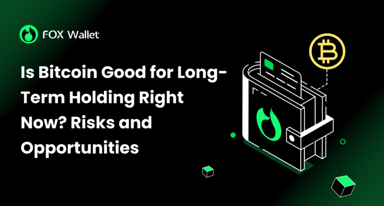 Is Bitcoin Good for Long-Term Holding Right Now? Risks and Opportunities